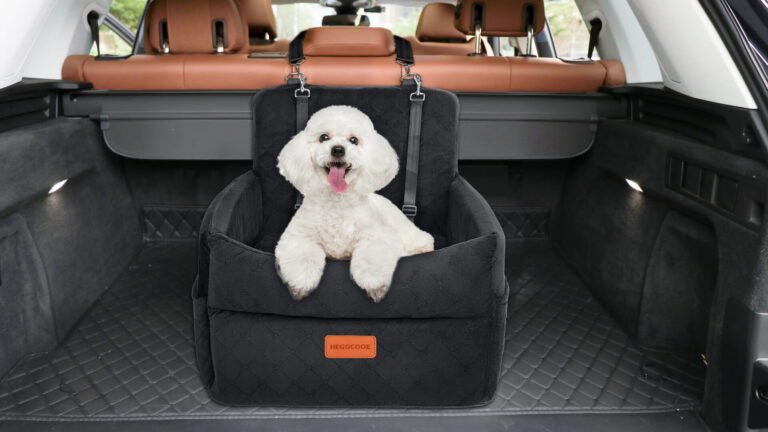 Banner 01 Xiaoze Pet