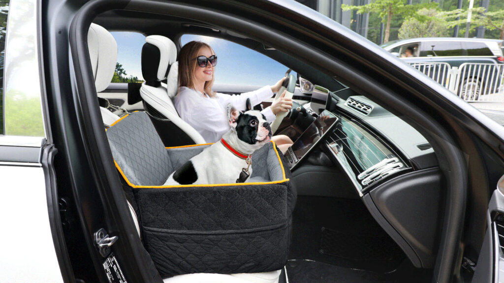 Banner 05 Xiaoze Pet